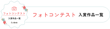 フォトコンテスト選出